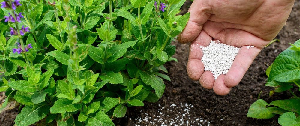 Cover image for Fertilizer Manufacturing Plant Project Report: Unit Cost Analysis and Infrastructure Necessities