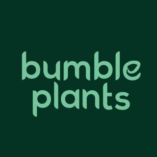 Bumble Plants profile picture