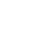newera skin
